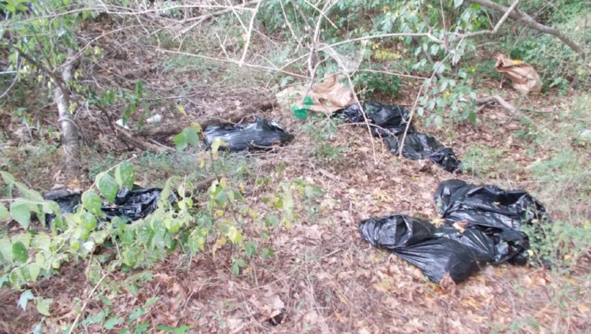 <i>Athens Clarke Co PD</i><br/>Bags of dead animals found in woods in Athens near an apartment complex.