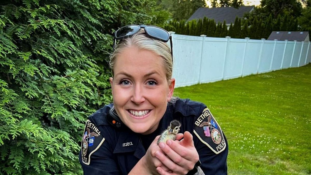 <i>Bethel Fire and EMS</i><br/>Bethel Fire and EMS said all of the ducklings were returned to their mother.