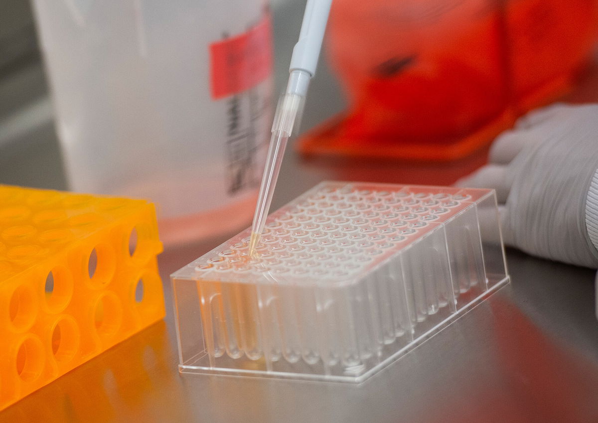 <i>Andrew Caballero-Reynolds/AFP/Getty Images</i><br/>Dr. Rhonda Flores looks at protein samples at Novavax labs in Gaithersburg