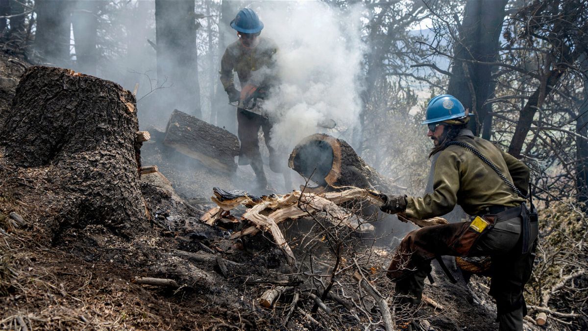<i>Eddie Moore/The Albuquerque Journal via AP</i><br/>Crews in northern New Mexico have cut and cleared containment lines around nearly half of the perimeter of the nation's largest active wildfire while bracing for a return of weather conditions which could fan flames and send embers aloft.