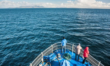 Whale watching is a popular tourist activity in Iceland.