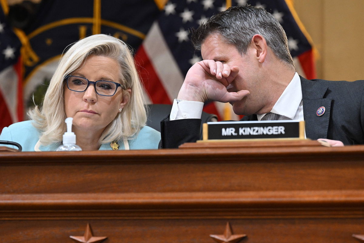 <i>Saul Loeb/AFP/Getty Images</i><br/>The hearing before the House select committee investigating the January 6