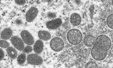 This 2003 electron microscope image made available by the Centers for Disease Control and Prevention shows mature