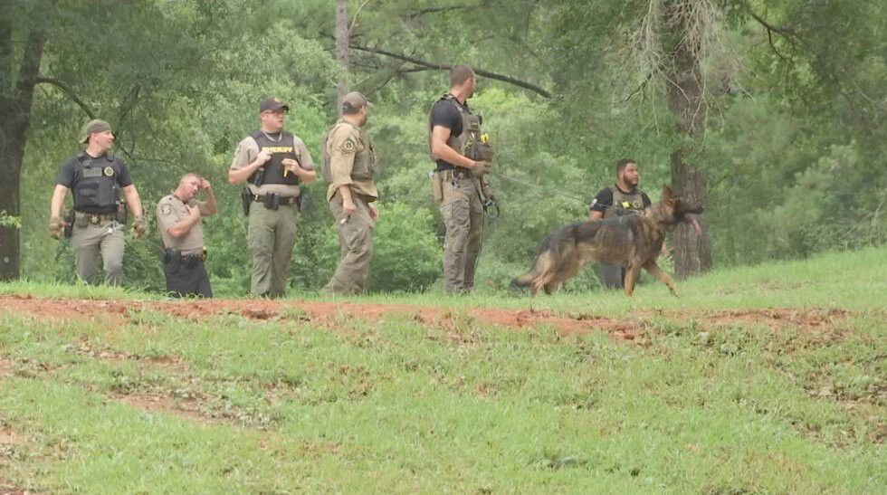 <i>WALA</i><br/>Mobile County Sheriff's deputies and ALEA State Troopers were looking for a suspected car thief who bailed out following a chase.