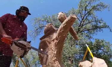 T.J. Jenkins is using a chainsaw to turn damaged trees into sculptures.