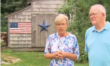 A couple was shocked to find an entire colony of bees living inside the wall of their shed in Hopkinton