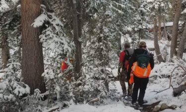 Brothers Cody and Curtis Culver were rescued after a snow storm but had to leave their dog Stella behind.