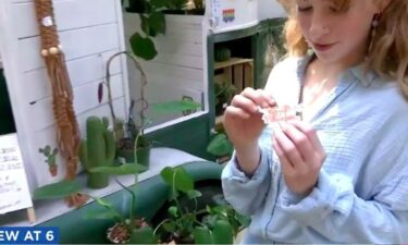 A Georgia teenager turned to plants to help her through the pandemic. Now