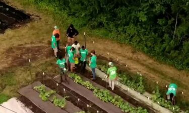 BoysGrow is helping kids gain relationships while teaching them to be an entrepreneur on a farm in south Kansas City.