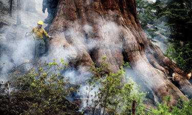 A firefighter works to contain the Washburn Fire.