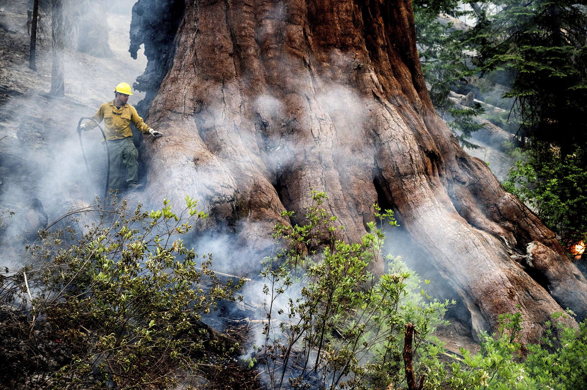 <i>Noah Berger/AP</i><br/>The Washburn Fire began July 7 and had swelled to 1