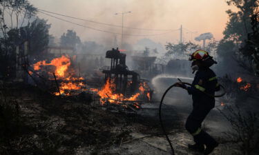 A firefighter tries to extinguish a blaze in Pallini