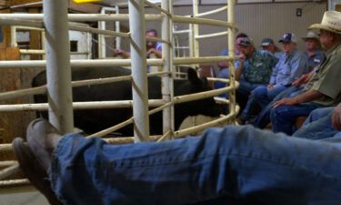 Buyers and sellers attend a livestock auction in Seguin