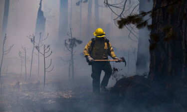 With giant sequoias under threat from a wildfire spreading at Yosemite National Park in California