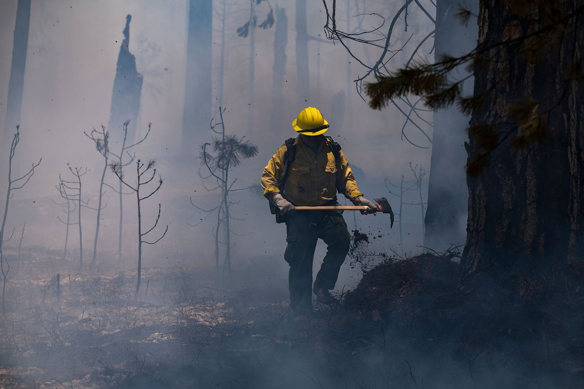 <i>Nic Coury/AFP/Getty Images</i><br/>With giant sequoias under threat from a wildfire spreading at Yosemite National Park in California