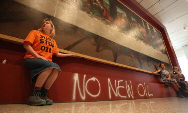 Climate protestors glued themselves to a copy of the famous Leonardo da Vinci painting.