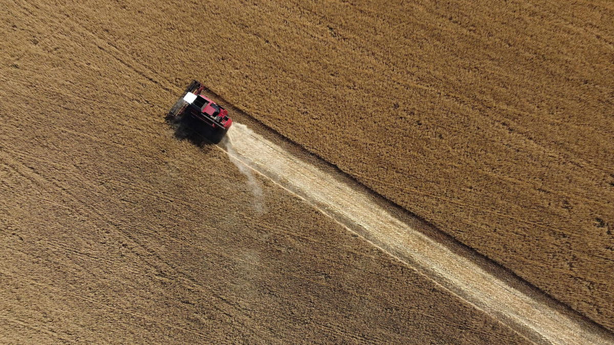 <i>Miguel Medina/AFP/Getty Images</i><br/>Ukraine and Russia have agreed a deal that would allow the resumption of vital grain exports from Ukrainian Black Sea ports.