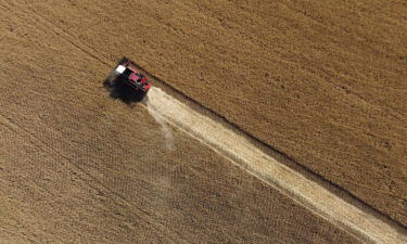 Ukraine and Russia have agreed a deal that would allow the resumption of vital grain exports from Ukrainian Black Sea ports.