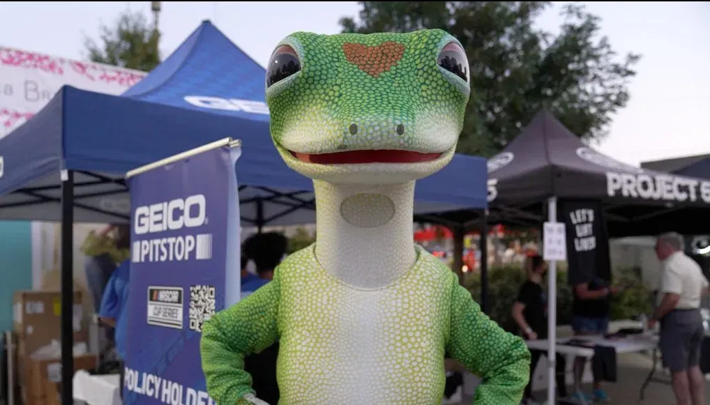 does geico have work from home jobs