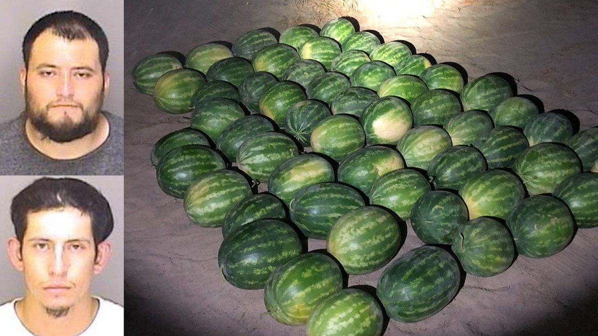 The Merced County Sheriff’s Office said Erick Vasquez (bottom), 23, and Brayan Vasquez Buenrostro (top), 30, were arrested for stealing 57 watermelons from a field.(Merced County Sheriff’s Office)