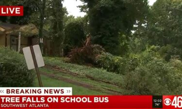 Six children and the driver were on the school bus at the time of the incident. This image shows the fallen tree after the bus was removed.