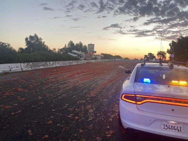 <i>CHP Solano/KOVR</i><br/>Tomatoes have spilled all over I-80 in Vacaville.