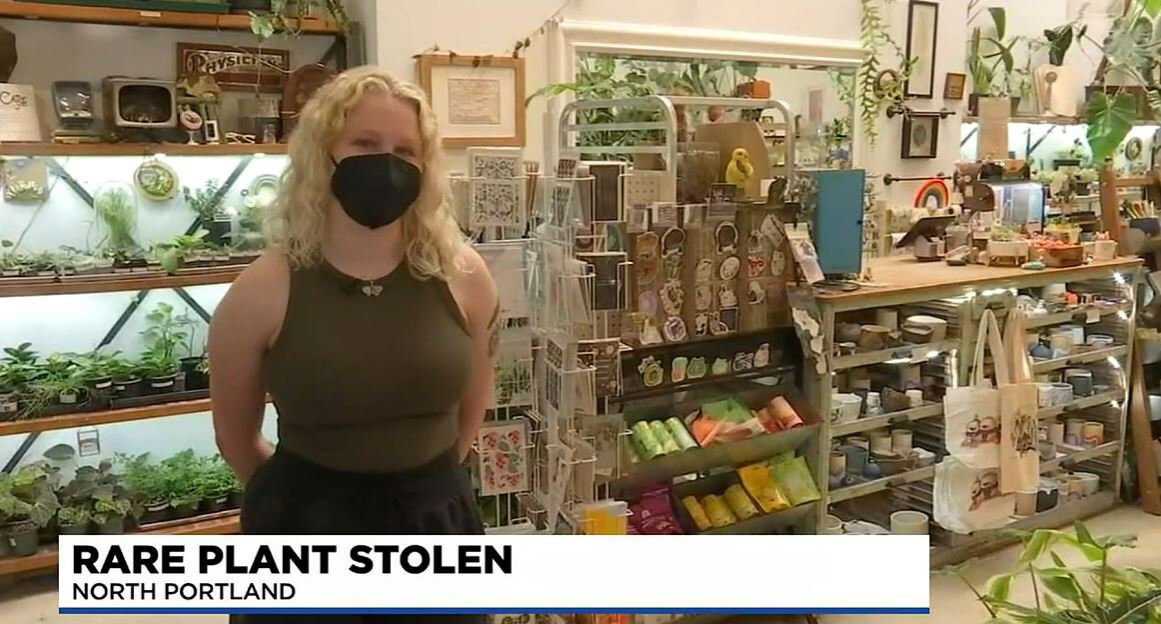 <i>KPTV</i><br/>Ana Kilbourne was working at the store at the time of the robbery.