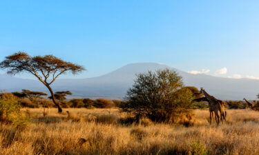 Climbers ascending Mount Kilimanjaro can now document their ascents in real-time on Instagram