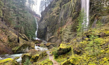 The hiker was on Multnomah Falls-Larch Mountain Trail when she fell. Wahclella Falls Trail