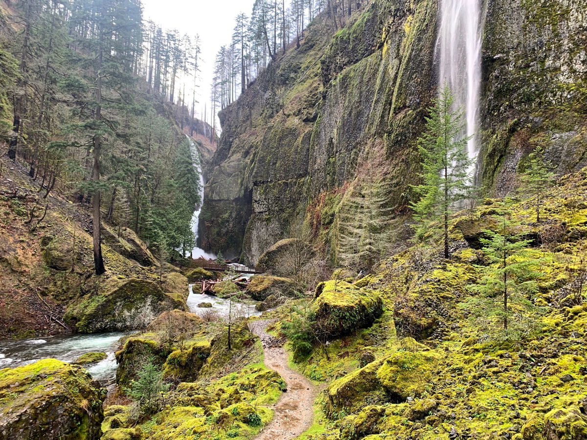 <i>Zach Urness/Statesman Journal/USA Today Network</i><br/>The hiker was on Multnomah Falls-Larch Mountain Trail when she fell. Wahclella Falls Trail