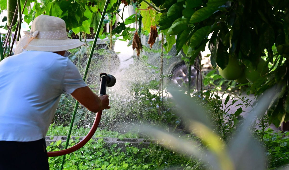 <i>Frederic J. Brown/AFP/Getty Images</i><br/>The Metropolitan Water District of Southern California is asking residents and businesses in parts of Los Angeles County to suspend outdoor watering for 15 days.