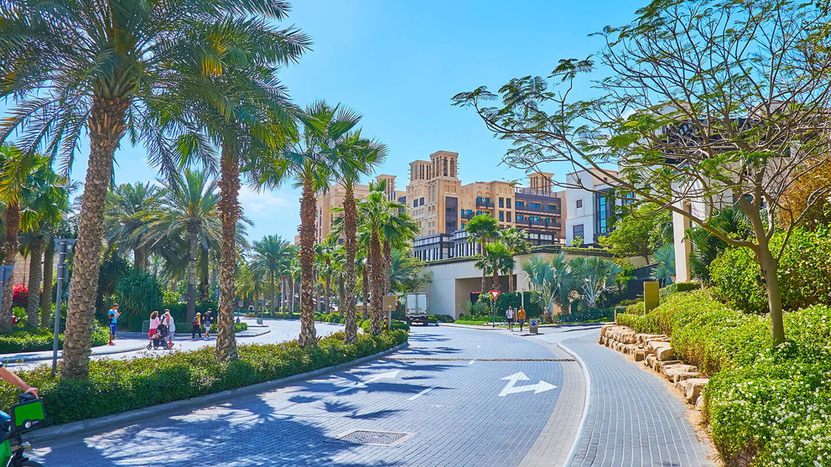 <i>efesenko/Adobe Stock</i><br/>The 'world's coolest' streets for 2022 are revealed by Time Out. The lush greenery and tall palm trees along Jumeirah Beach Road