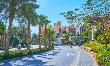 The 'world's coolest' streets for 2022 are revealed by Time Out. The lush greenery and tall palm trees along Jumeirah Beach Road