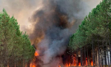 Flames consume trees in Saint Magne