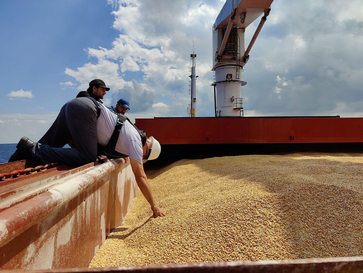 <i>Turkish Defence Ministry/Reuters</i><br/>The Joint Coordination Centre officials are seen onboard Sierra Leone-flagged cargo ship Razoni