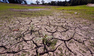 Weeds grow through the cracked soil on what would usually be on the bottom of the Hoppin Hill Reservoir in North Attleboro