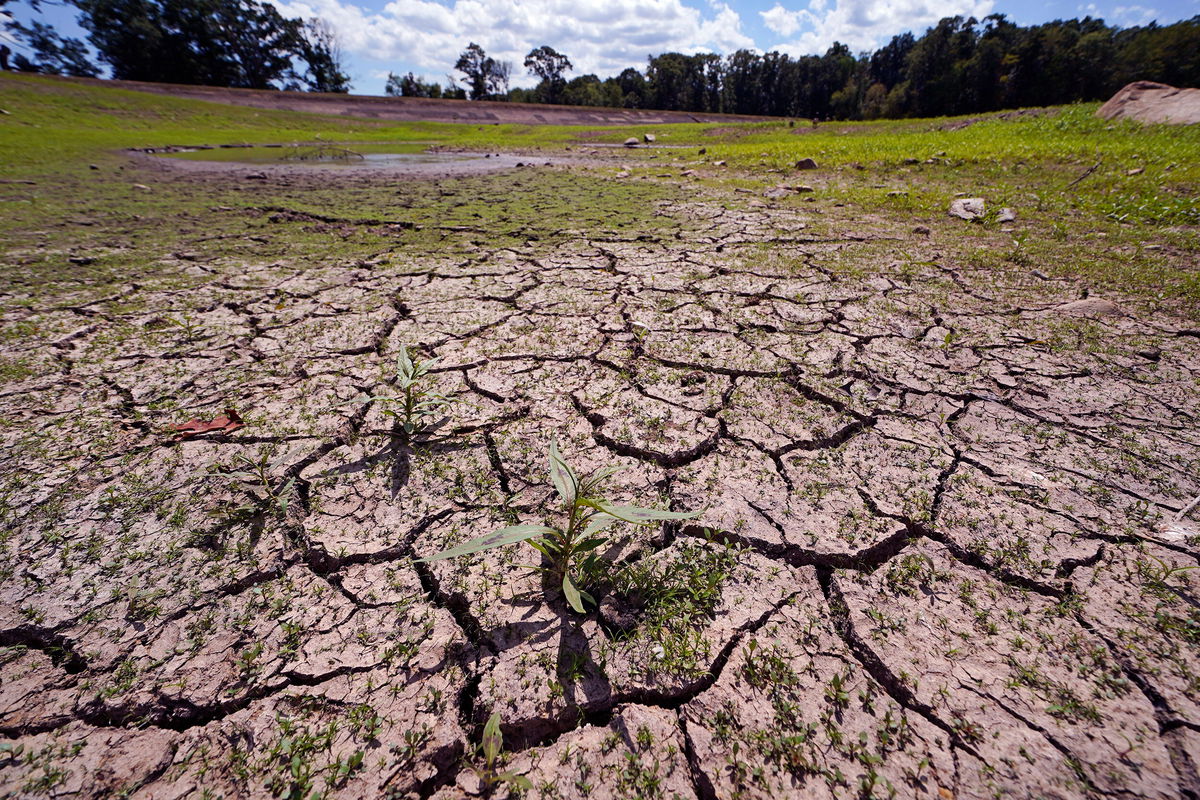 <i>Charles Krupa/AP</i><br/>Weeds grow through the cracked soil on what would usually be on the bottom of the Hoppin Hill Reservoir in North Attleboro