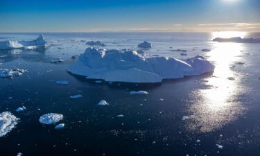 Icebergs floating in Disko Bay