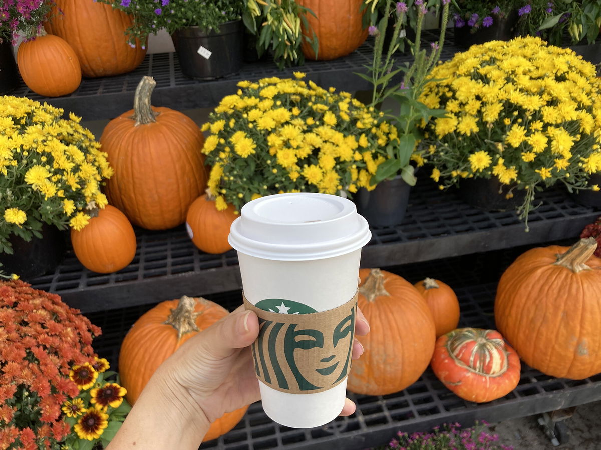 <i>Christina Tkacik/Baltimore Sun/Tribune News Service/Getty Images</i><br/>A pumpkin spice latte