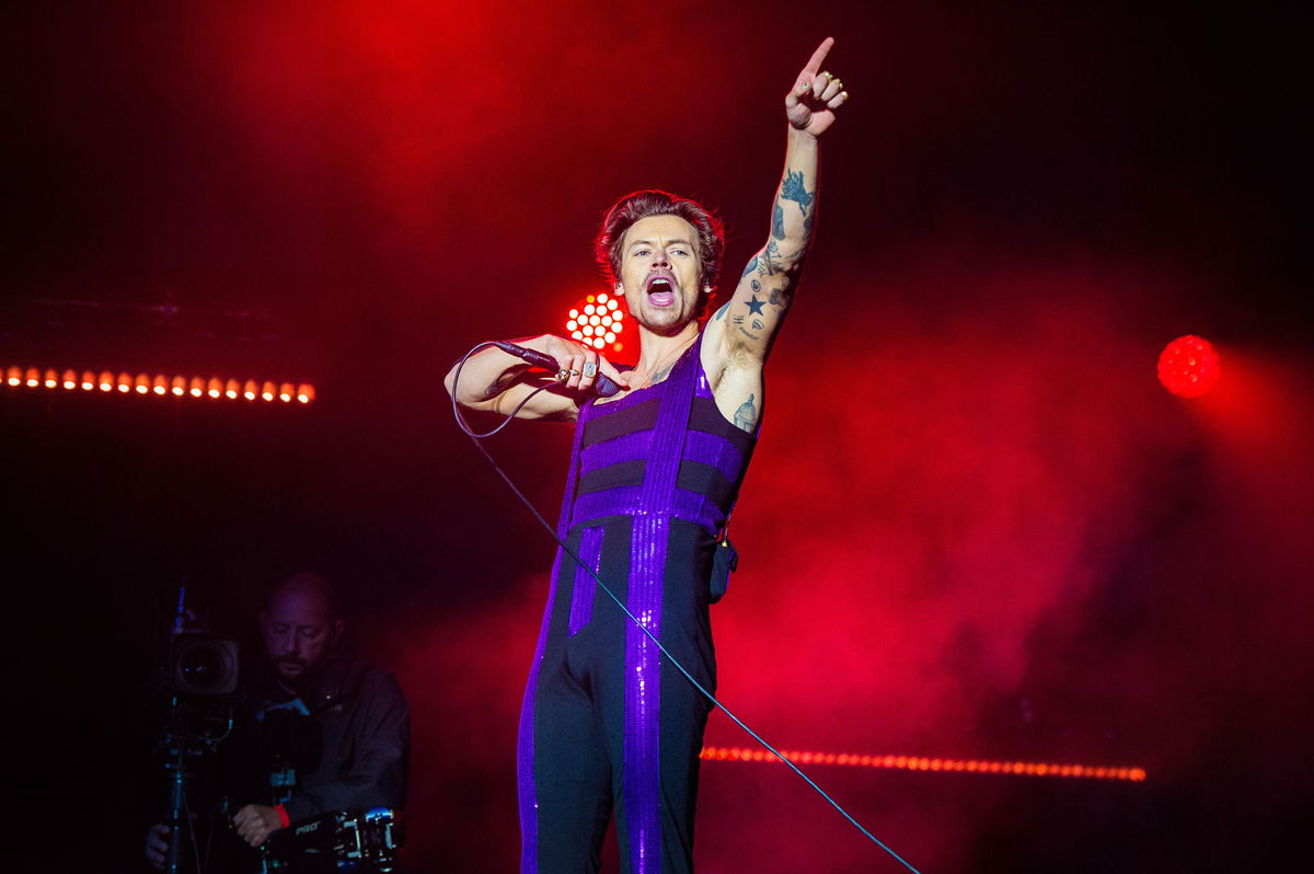 <i>Joseph Okpako/WireImage/Getty Images</i><br/>Harry Styles