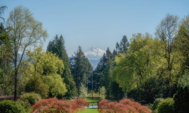 The Lewis & Clark College campus