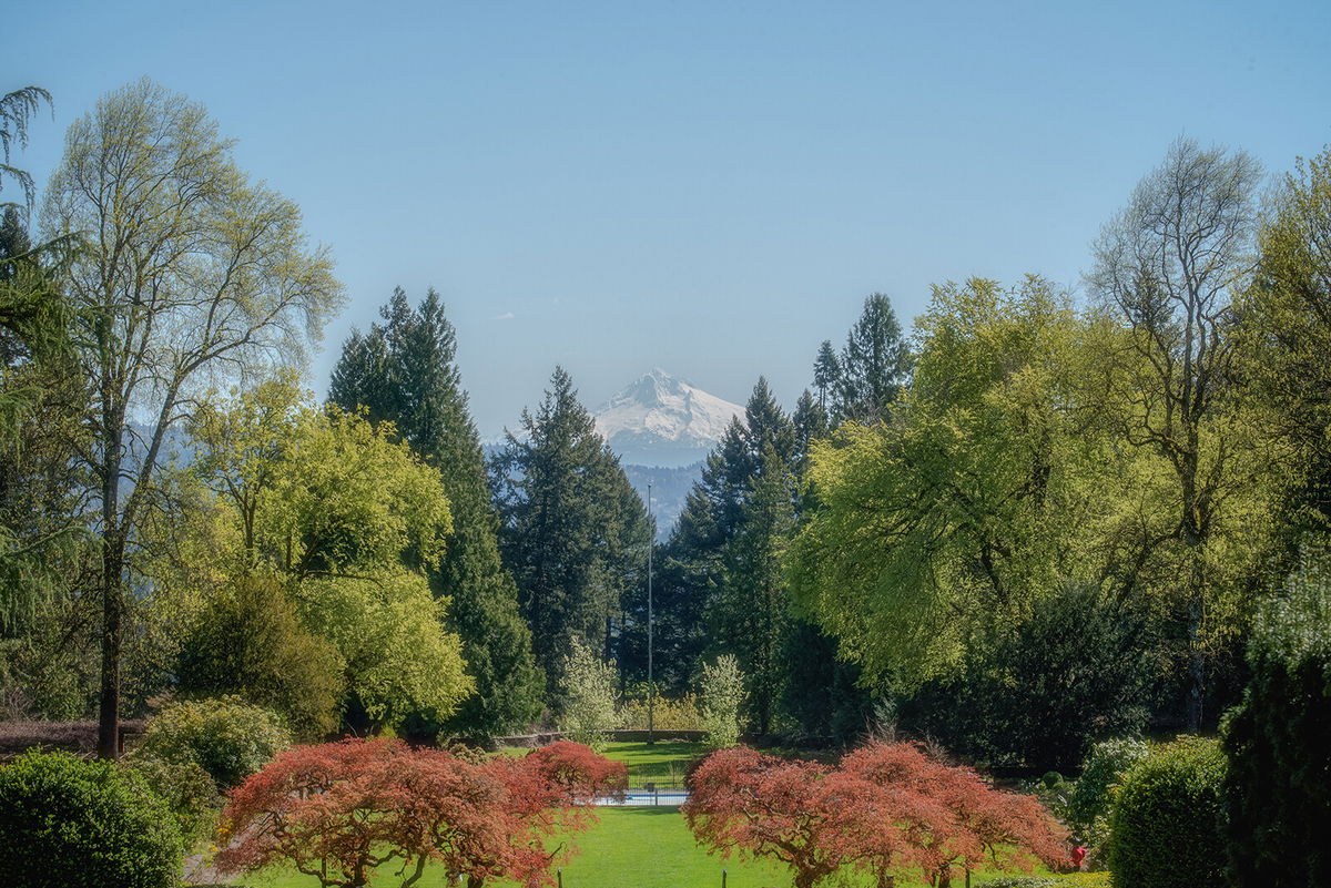 <i>Ahorica/iStockphoto/Getty Images</i><br/>The Lewis & Clark College campus