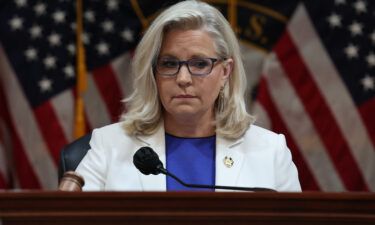 Rep. Liz Cheney's campaign has purchased a series of national ad spots on Fox News to run the viral campaign advertisement she debuted last week featuring her father.