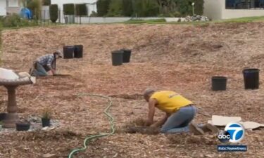 The nuns at Maryknoll Sisters retirement home decided to get rid of six acres of grass and turn the area into a water-saving oasis.