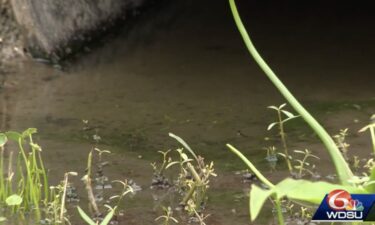 Raw sewage near homes could attract mosquitoes that carry the West Nile virus.