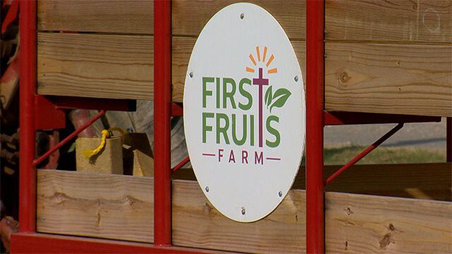 <i>WBAL</i><br/>First Fruits Farm in Baltimore County gives away entire harvest to charities across Maryland.