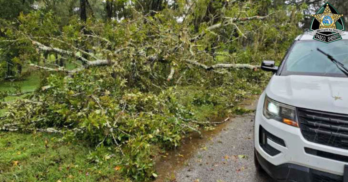 <i>Pasco County Sheriff's Office</i><br/>Hurricane Ian causes down wires and trees in Pasco County.