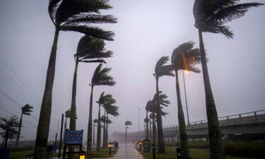 Wind blows palm trees ahead of Hurricane Ian in Charlotte Harbor