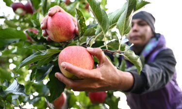 Eating more produce and less meat like beef can help reduce greenhouse gas emissions.