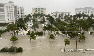 Pictured here is Gulfshore Boulevard.